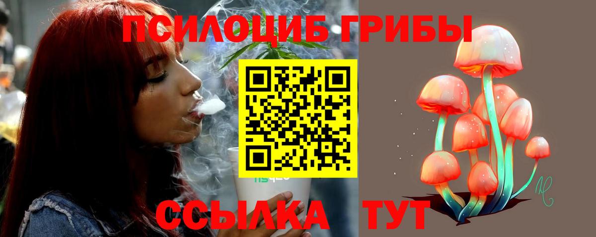 Вязники  Псилоцибиновые грибы MAGIC MUSHROOMS  Вход с VPN 