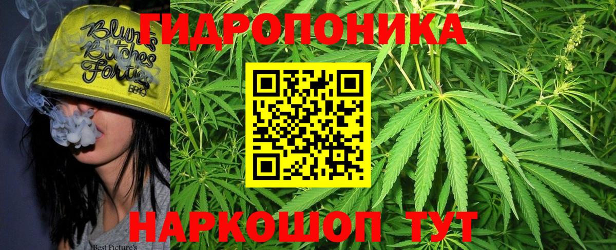 Гашиш Вязники