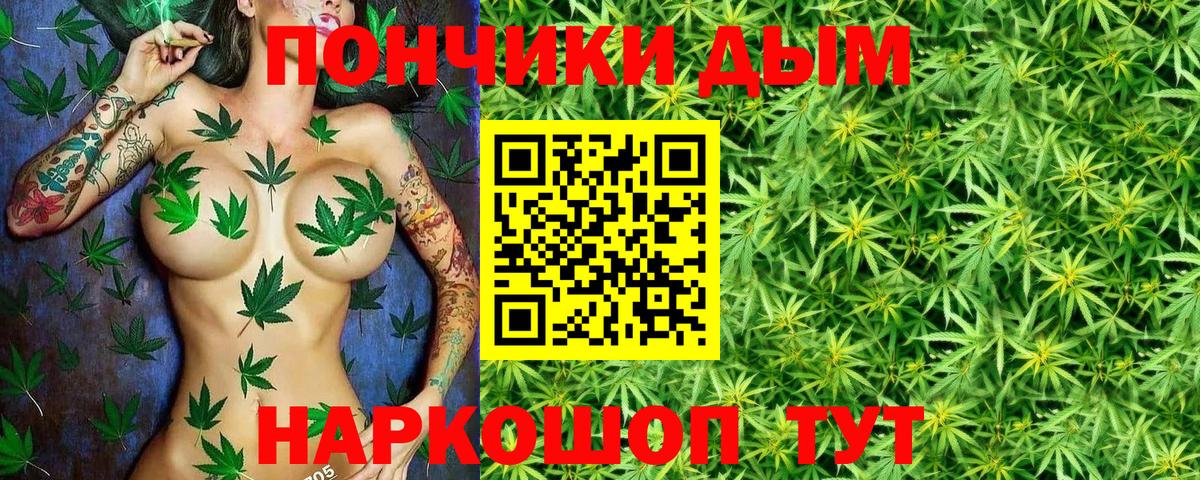 Шишки марихуана конопля  Бошки Шишки ГИДРОПОН  Вязники  Канабис MAZAR  Каннабис THC 21%  Вход с VPN 